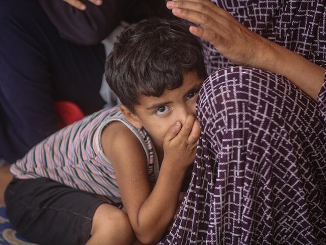 Estado de Palestina | World Food Programme
